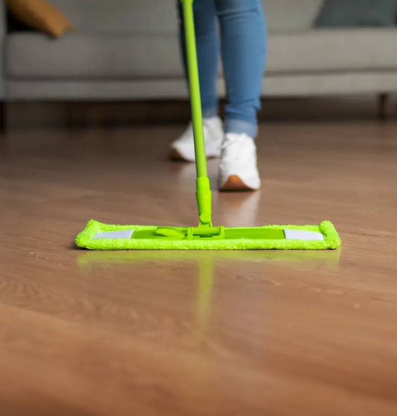 Professional Home Cleaning Services