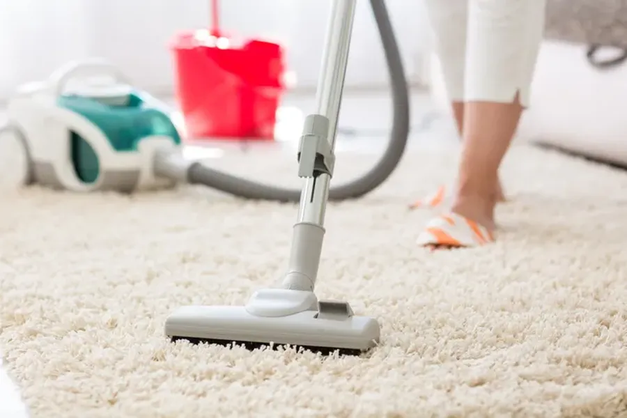 What To Expect During A Professional Carpet Cleaning Service North Hills, CA