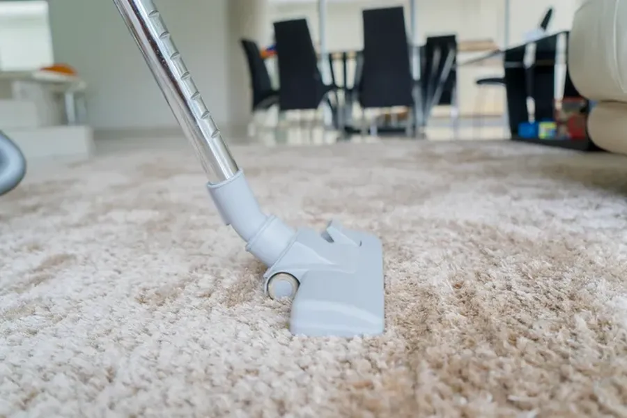 What To Expect During A Professional Carpet Cleaning Service in North Hills, CA