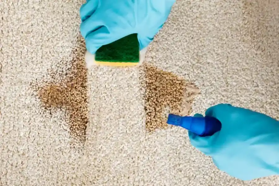 Why Regular Carpet Cleaning Extends The Life Of Your Carpets North Hills, CA